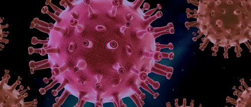 Bilanț coronavirus. 1.504 de cazuri de COVID-19 în ultimele 24 de ore / 1.084 de pacienți internați la ATI