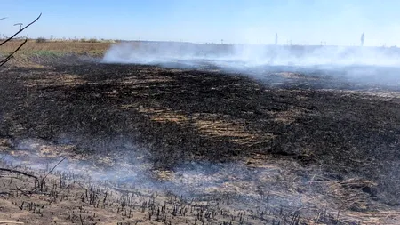 POLUARE extremă în nordul Capitalei: ”Miroase a cauciuc ars”. Și locuitorii din Sectorul 5 reclamă că aerul este irespirabil