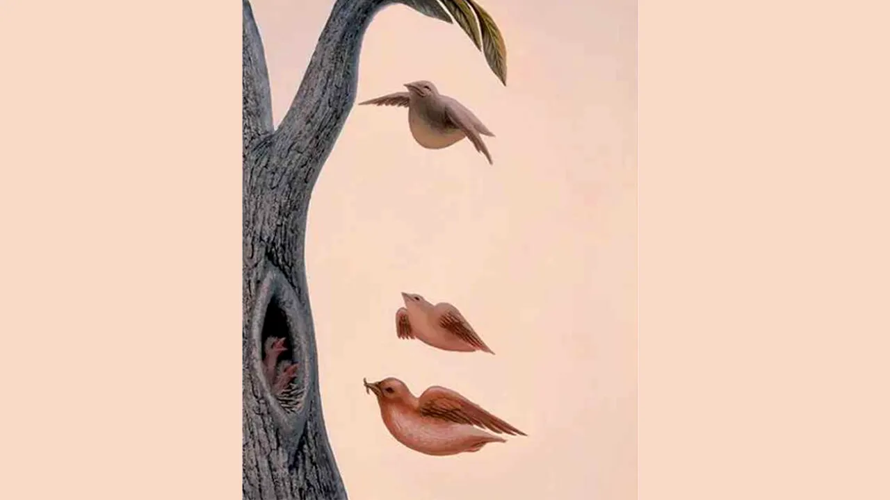 Test de personalitate | Ce vezi prima dată? Răspunde și vei afla care este cea mai ascunsă dorință a ta!