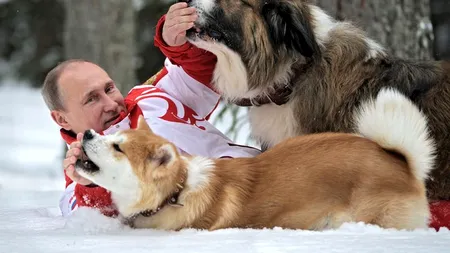FOTO. Vladimir Putin și-a luat câinele la o întâlnire oficială, la Soci