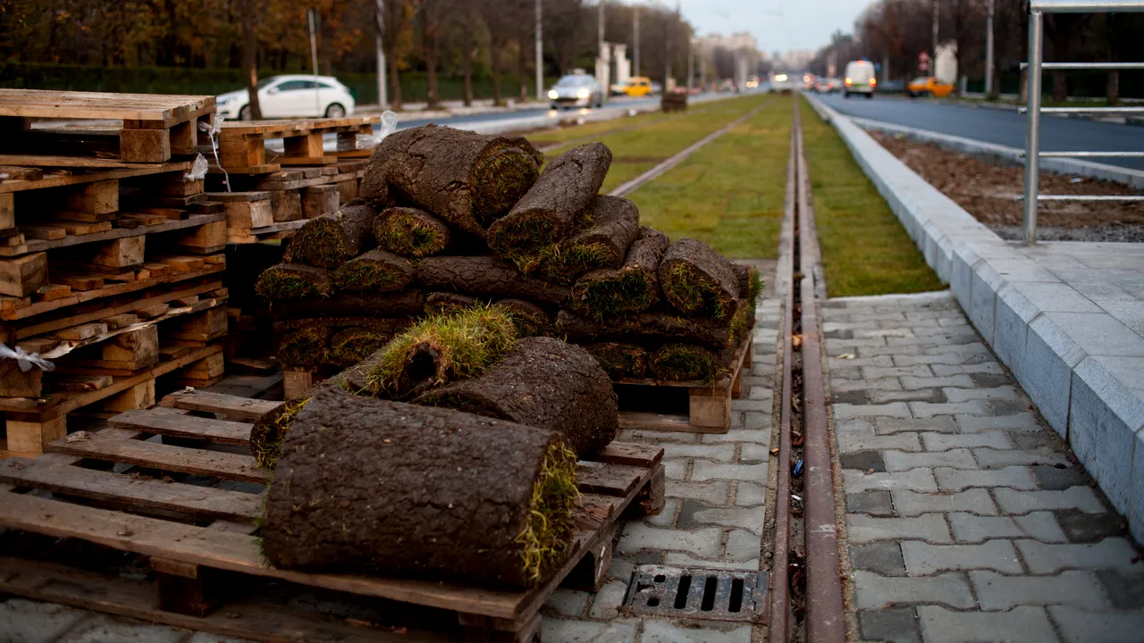 Mai avem nevoie și de iarbă!