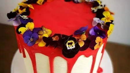 Și-a început afacerea, într-un balcon, cu bani împrumutați, iar acum e căutat de chefii restaurantelor de lux