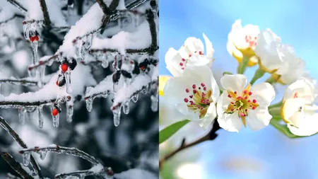 Ger cumplit în România. Când se încălzește VREMEA în țara noastră