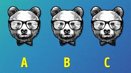 TEST IQ exclusiv pentru genii | Găsiți care urs este diferit de ceilalți doi, în cel mult 15 secunde!