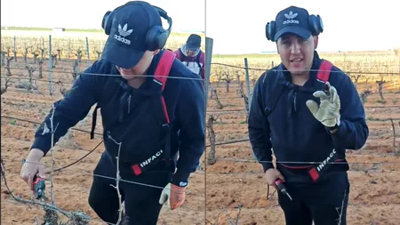 Cât câștigă un român care muncește la vie în Spania. Suma este de 10 ori mai mare