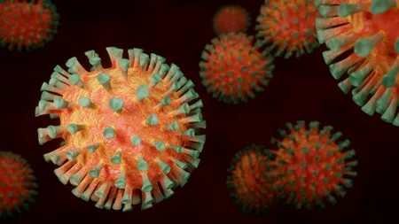 CERCETARE. Tulpina COVID-19 dominantă în Europa şi SUA, mai contagioasă decât varianta originală