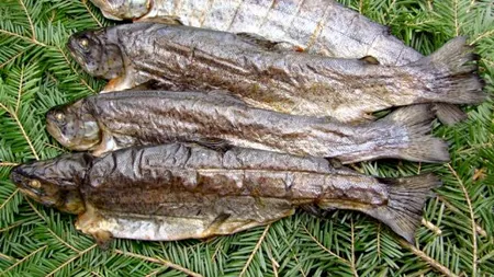 Afinată, păstrăvi, preparate din carne și calendare, șpagă pentru un  director din MADR