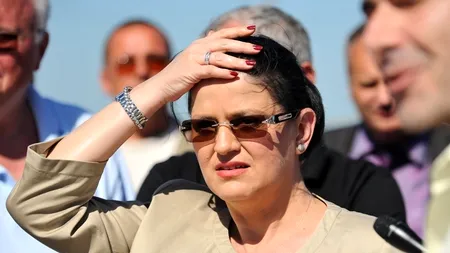 Boagiu: PDL se vede alături de liberali; PNL nu trebuie să se rupă, ci să schimbe liderul