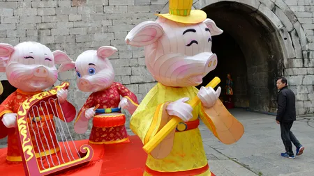 Cei Trei Miao în Anul Porcului