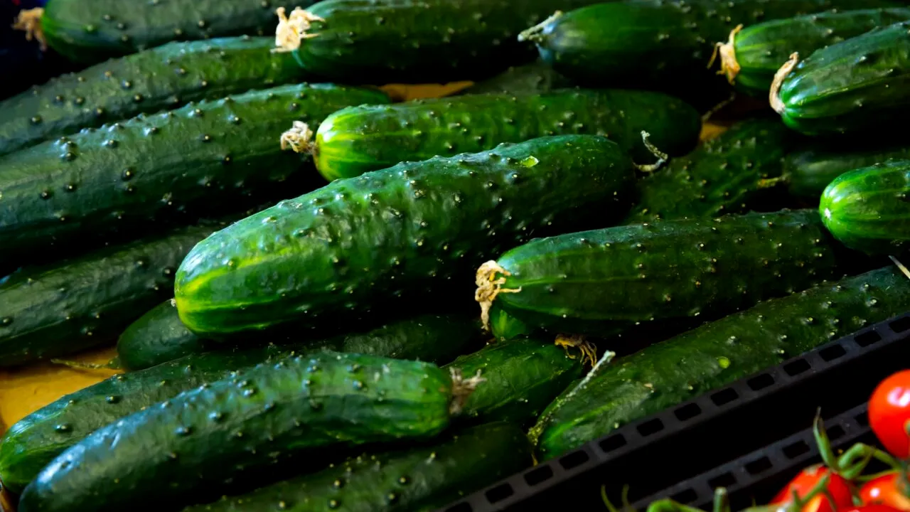 Castraveții se vând cu 1 leu la fermă și 7 lei la raft. De unde vin diferențele URIAȘE între prețurile de producător și cele din magazine și piețe