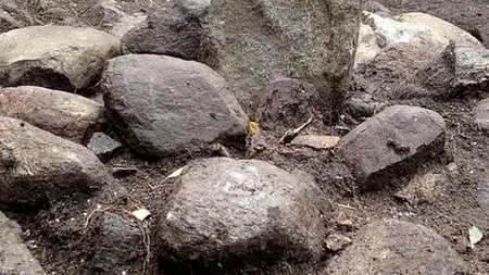 FOTO | Statuia în formă de penis, veche de 3.000 de ani, folosită la ritualurile de fertilitate. Descoperire neașteptată făcută de arheolog