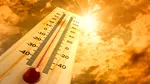 Canicula revine în România. Temperaturile vor ajunge până la 39 de grade! Prognoza meteo pentru următoarele două spătămâni