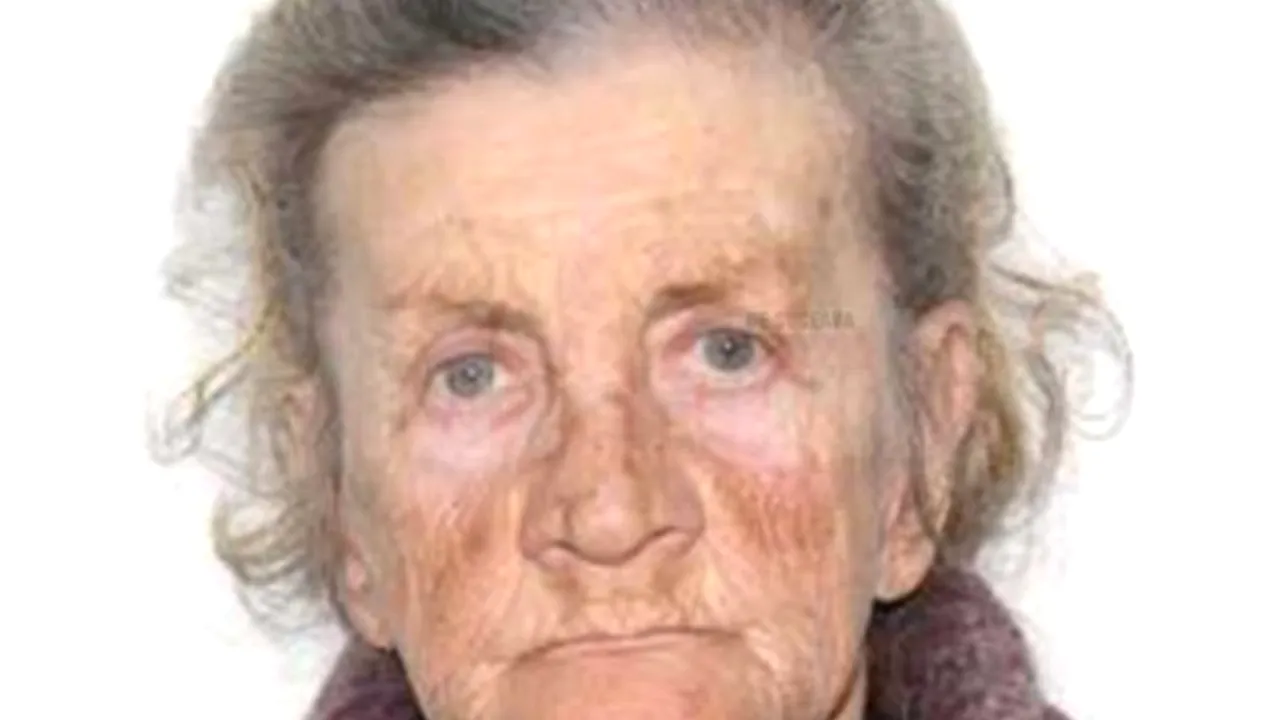 INEDIT. O bătrână de 80 ani, cel mai vârstnic infractor din România / Ce și de unde fura femeia