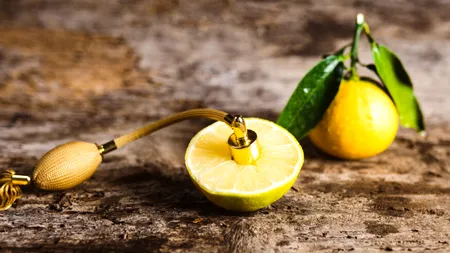 Ce se întâmplă dacă presari coji de lămâie prin curte. TRUCUL te scapă de o mare problemă