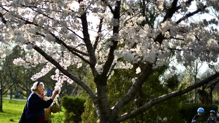 VREMEA - VREMEA ÎN BUCUREȘTI. Prognoza METEO pentru următoarele două zile