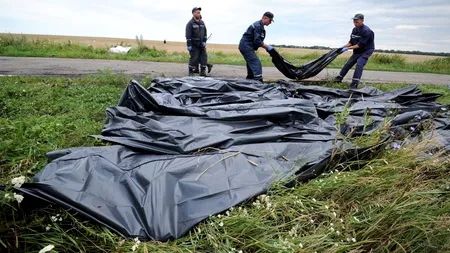 SUA, Olanda, Australia, Germania și Marea Britanie cer Rusiei să intervină pentru a permite accesul în zona prăbușirii avionului malaysian
