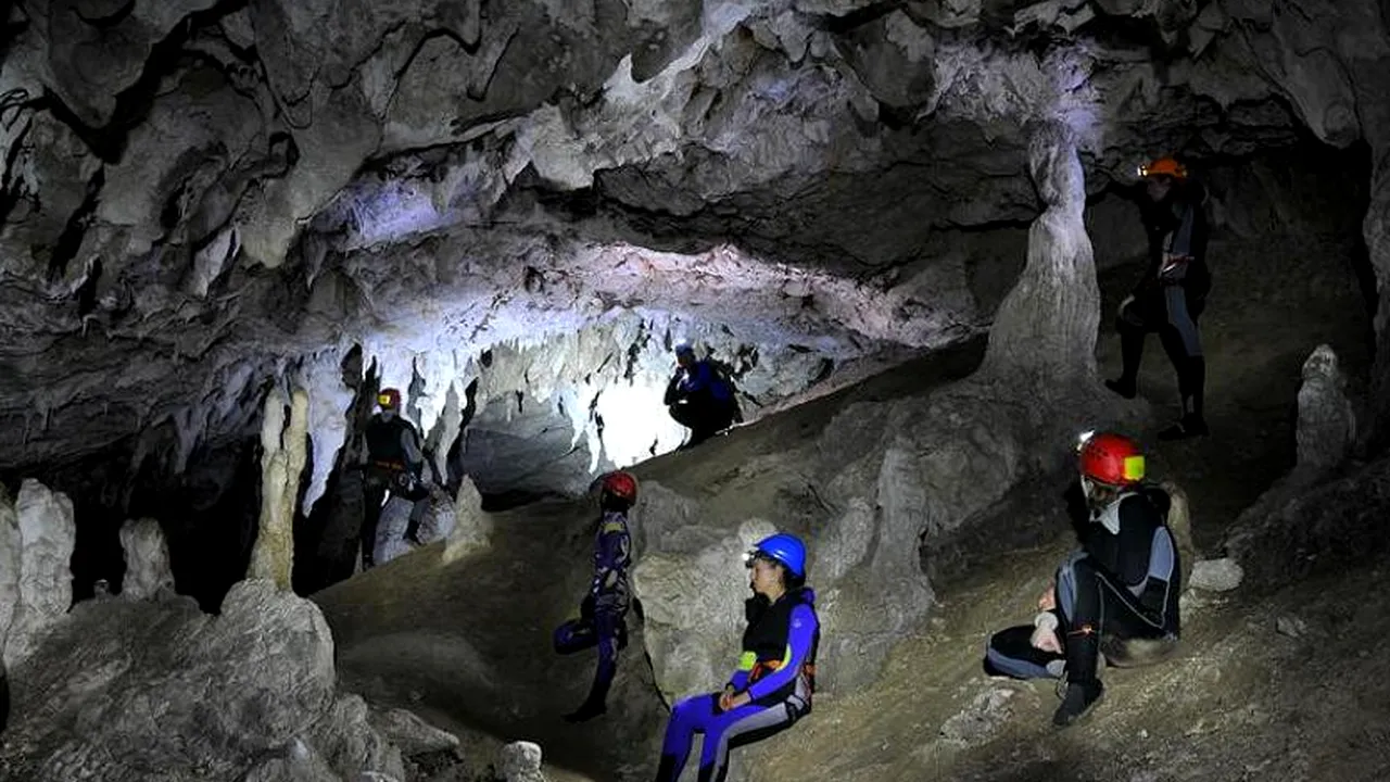 Într-o peșteră din România hibernează cea mai mare colonie de lilieci din Europa