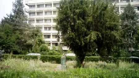 CORONAVIRUS. Cât primesc hotelierii români pentru fiecare cameră cu cetățeni aflați în carantină