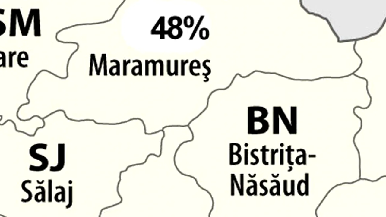 REZULTATE BACALAUREAT 2012. Aproape jumătate dintre elevi au promovat în Maramureș