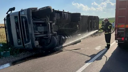 Un TIR încărcat cu oi s-a răsturnat pe un drum din Tulcea. Circa 100 de animale au murit