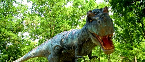 Parc unic în Europa de sud-est: 50 de dinozauri în mărirme naturală prind viață la Râșnov