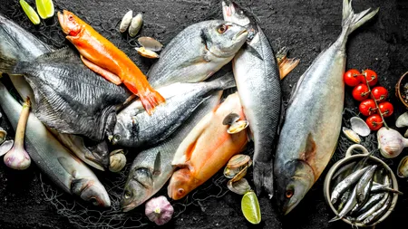 Care este cel mai toxic pește din lume. Românii îl consumă cu regularitate, dar are peste 70 de paraziți