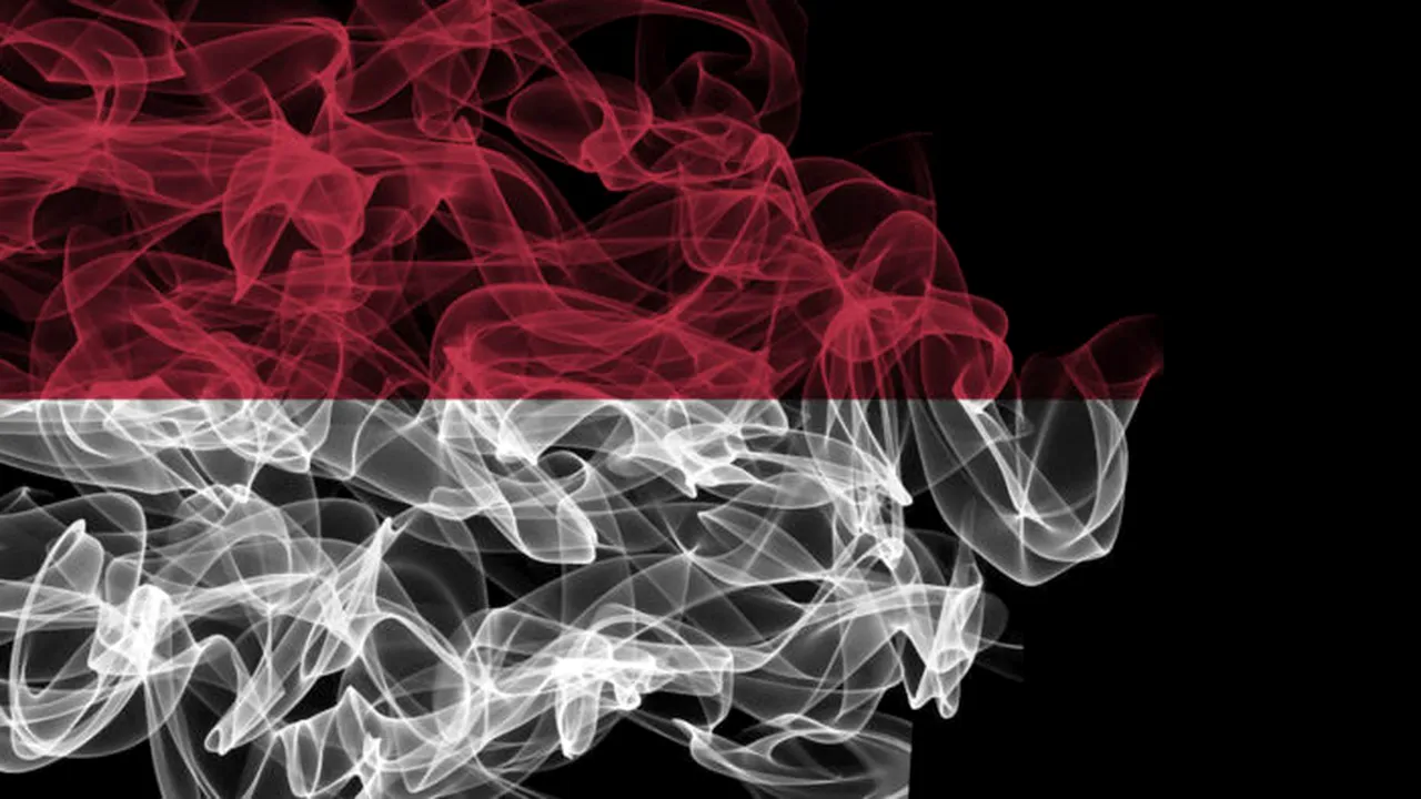 UE a definitivat Acordul COMERCIAL și de investiții cu Indonezia /„Creează noi oportunități pentru companii și fermieri”