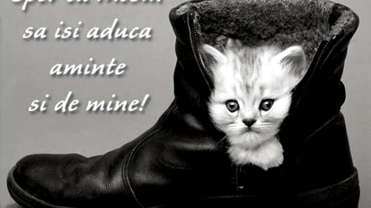 SMS SFÂNTUL NICOLAE, URĂRI MOȘ NICOLAE. Cele mai inspirate MESAJE de MOȘ NICOLAE