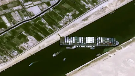 Animals International: 10 vapoare cu animale vii din România sunt blocate în canalul Suez, în urma eșuării navei Evergreen. Animalele riscă să moară de foame