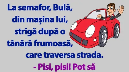 BANC | Bulă vrea să agațe la semafor