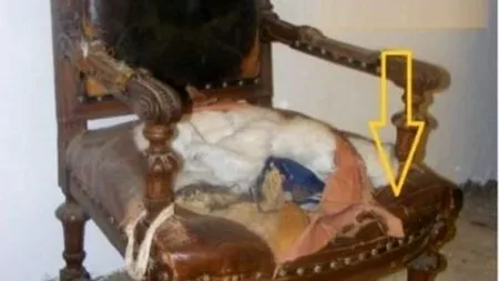 Ce a descoperit un tânăr din Rusia în tapițeria unui scaun primit moștenire de la bunicul său