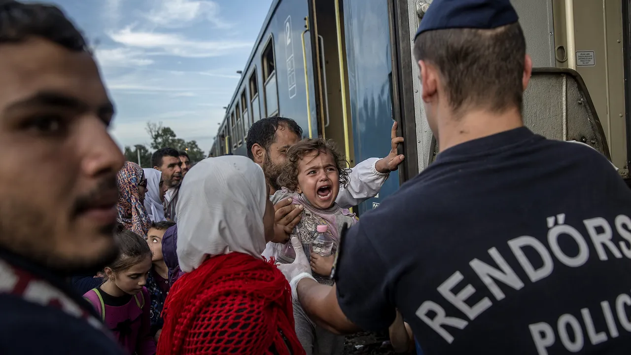 CRIZA REFUGIAȚILOR. România desfășoară exerciții la granița cu Serbia și suplimentează trupele MAI în zonă