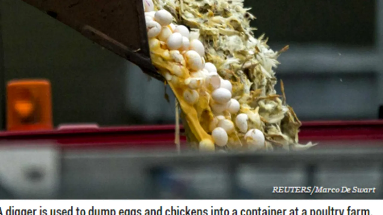 Top 10 cele mai importante evenimente ale zilei în lume