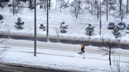 FOTO: Imagine amuzantă surprinsă de un cititor Gândul în zăpezile din București