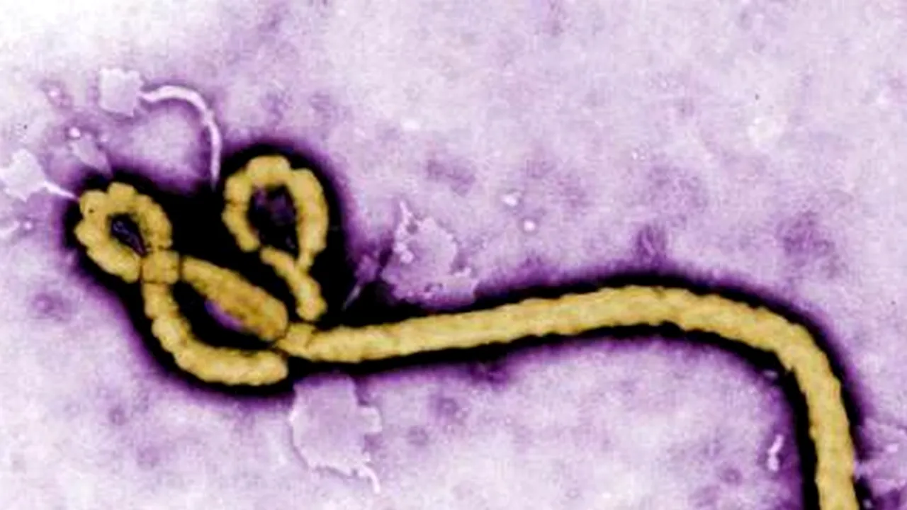 Noua armă împotriva virusului Ebola