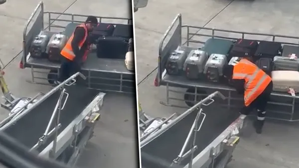 Imagini cu un angajat al Aeroportului din Atena care îngrijea cu blândețe animale salvate au făcut înconjurul planetei. Ce comentarii au stârnit