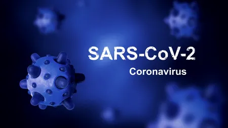 PANDEMIE. Bilanțul deceselor cauzate de coronavirus în România a urcat la 482