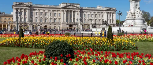 „Comoara veche de 130 de ani, descoperită în Palatul Buckingham în timpul lucrărilor de renovare. Imagini inedite din interior