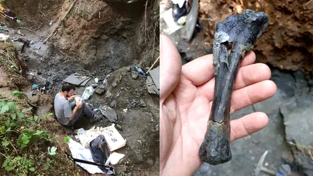 Cele două zone din România, unde s-au descoperit fosile de dinozauri ce datează de acum 70 de milioane de ani