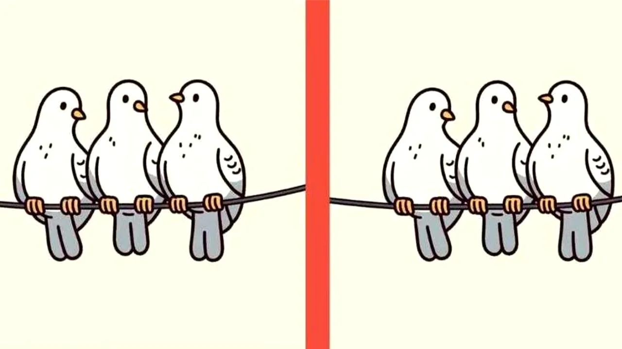 TEST de inteligență | Între aceste două poze există 3 diferențe. Le puteți găsi?