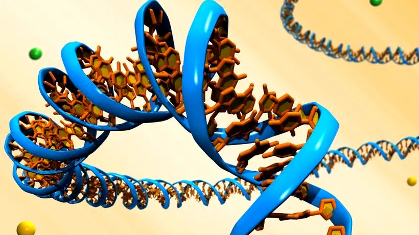 Ceasul biologic din ADN, descoperit de un cercetător american