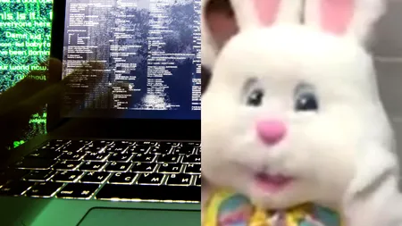 SRI suspectează că autorii atacurilor cibernetice cu Bad Rabbit 4 asupra spitalelor sunt chinezi
