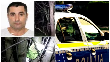 Ionel a dispărut fără urmă acum trei zile, într-un sat din Mehedinți. Ce au găsit vecinii într-un copac