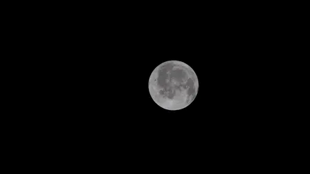 Pana de șoim de pe Lună. Misterul din spatele imaginii surprinzătoare publicate de NASA