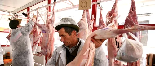 Guvernul estimează că în curând va putea fi reluat exportul în Turcia de carne de oaie