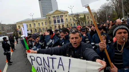 Muncitorii de la Oltchim au reinventat „javra ordinară