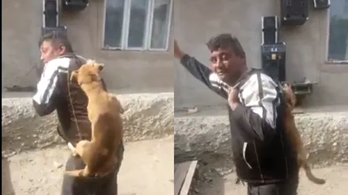 #cugandullaanimale. Un bărbat din Bacău dansează în timp ce strânge de gât un câine: „Lasă-l că are purici - VIDEO