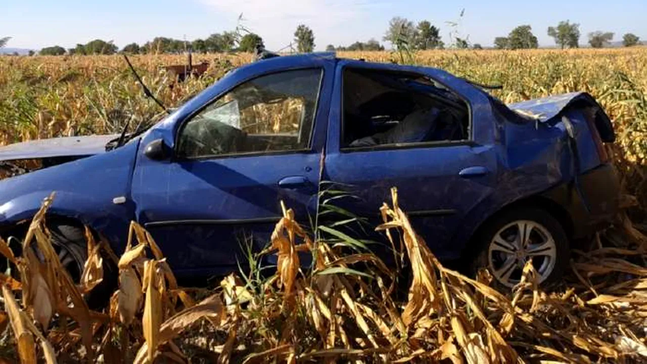 Sfârșit tragic. Doi tineri din Ilfov au murit în urma unui grav accident rutier. Încarcerați, au zăcut ore la rând în lanul de porumb. FOTO