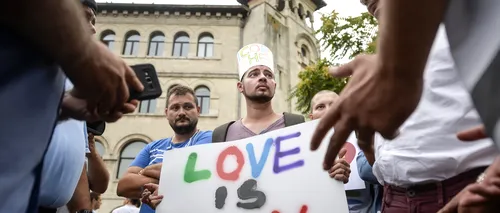 Adriana Săftoiu nu vrea revizuirea Constituției: Ce ne-a apucat? Care e pericolul LGBT în România?