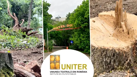 Cum a ajuns Uniunea Teatrală să folosească un teren de pe malul Lacului Floreasca, pe care, recent, a băgat drujbele: „Am făcut igienizare. Vrem să construim un cămin pentru artiști, dar nu avem fonduri”